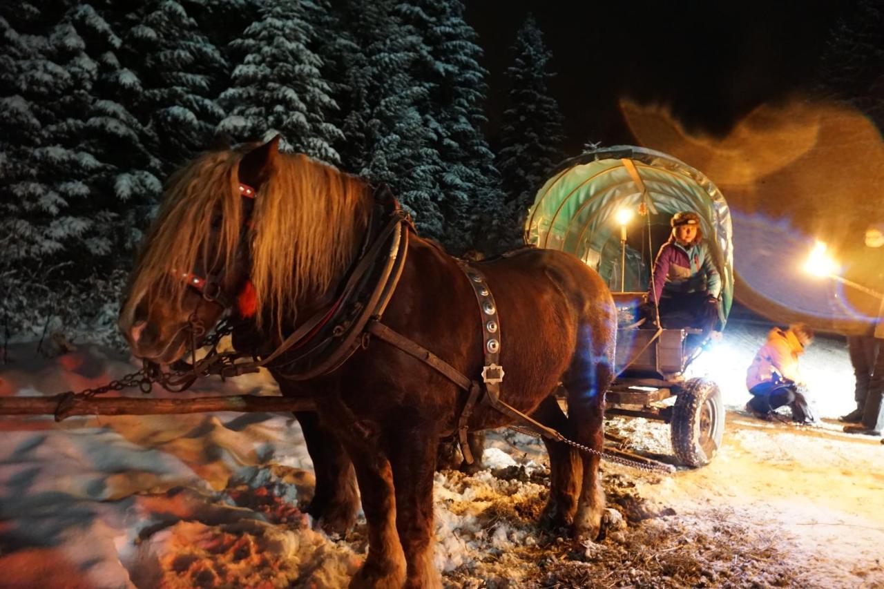 Chata Nad Roztokami Baligród Buitenkant foto
